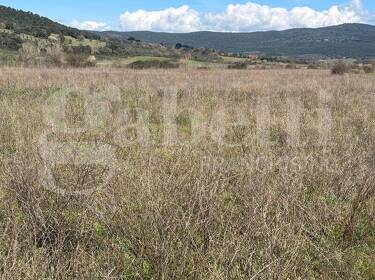 foto principale del terreno