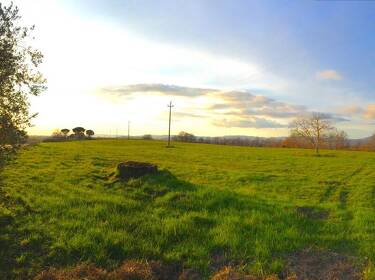 foto principale del terreno