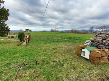 foto principale del terreno