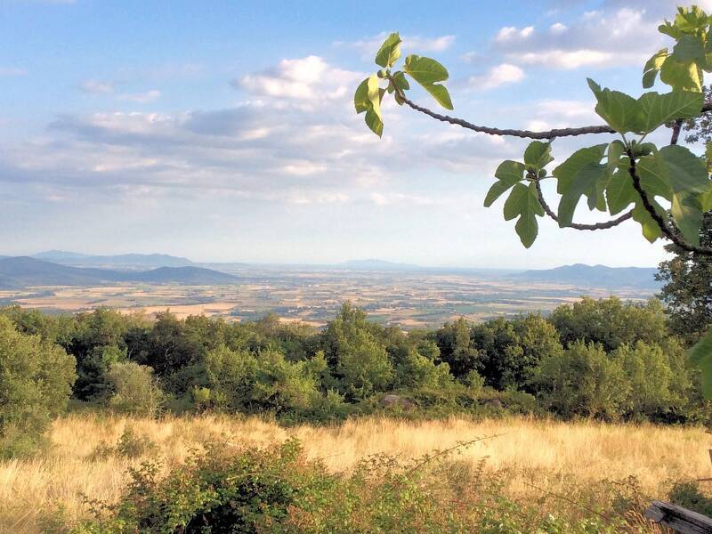 foto principale del terreno