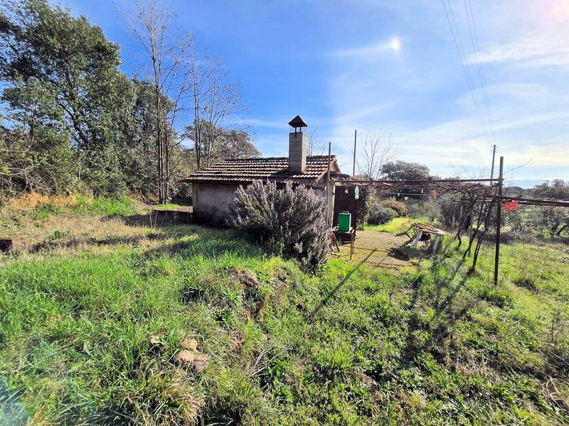 foto principale del terreno