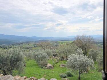 foto principale del terreno