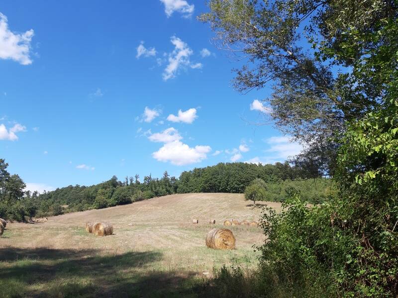 foto principale del terreno