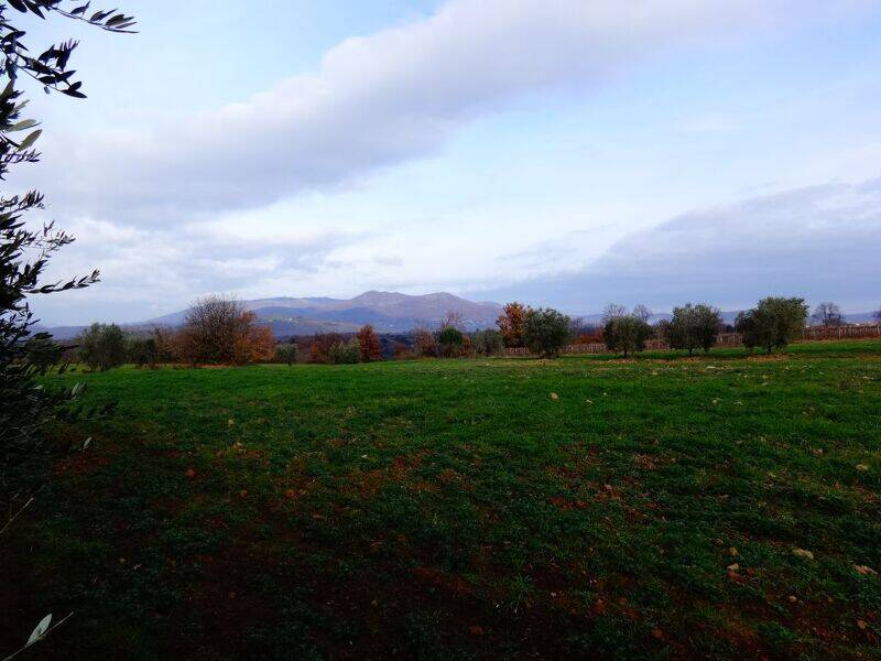 foto principale del terreno