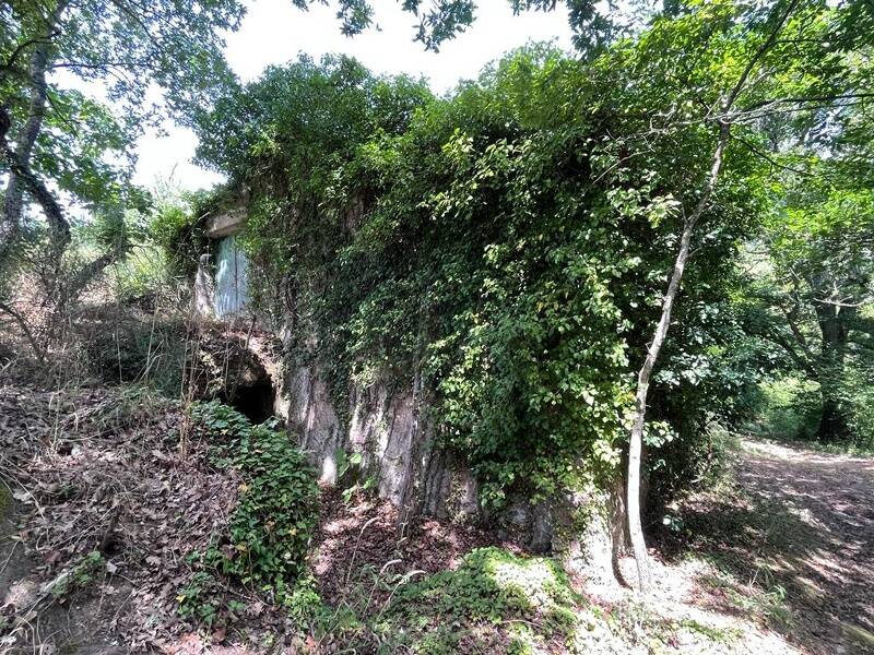 foto principale del terreno