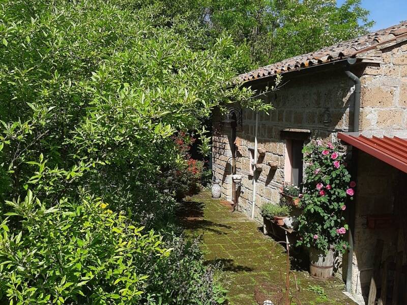 foto principale del terreno