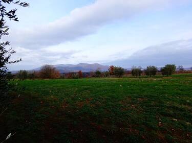 foto principale del terreno