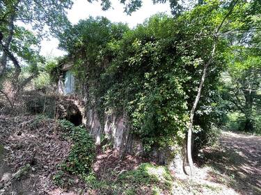 foto principale del terreno