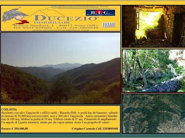 foto principale del terreno