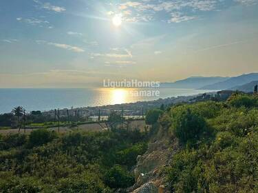 foto principale del terreno