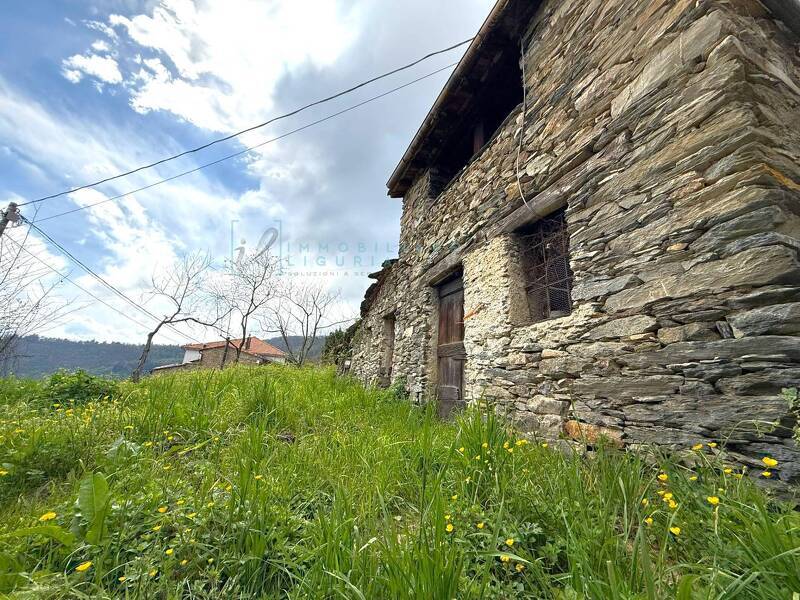foto principale del terreno