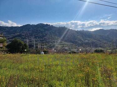 foto principale del terreno