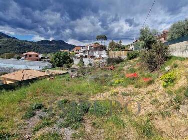 foto principale del terreno