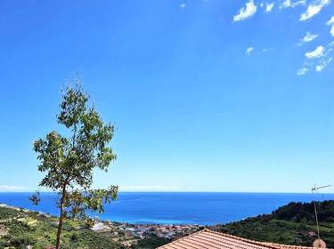 foto principale del terreno