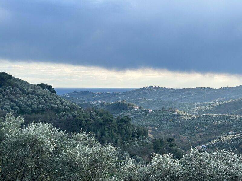 foto principale del terreno