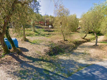 foto principale del terreno