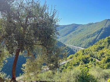 foto principale del terreno