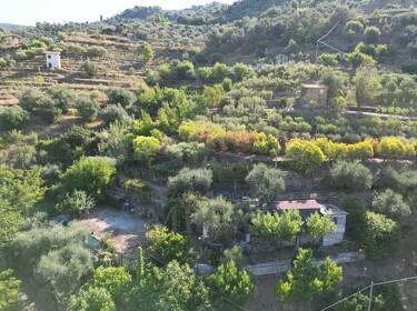 foto principale del terreno