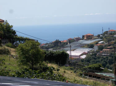 foto principale del terreno