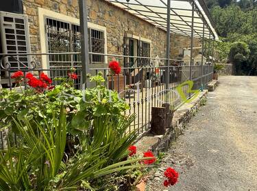 foto principale del terreno