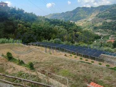 foto principale del terreno