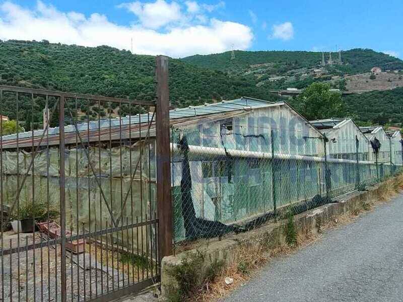 foto principale del terreno