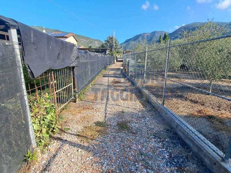 foto principale del terreno