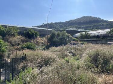 foto principale del terreno