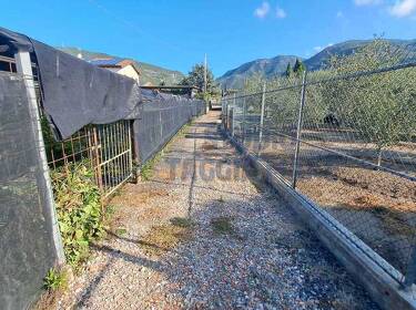 foto principale del terreno