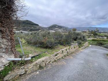 foto principale del terreno