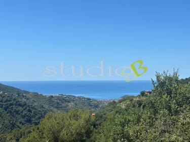 foto principale del terreno