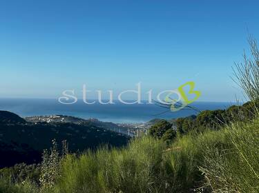 foto principale del terreno