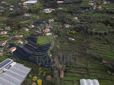 foto principale del terreno