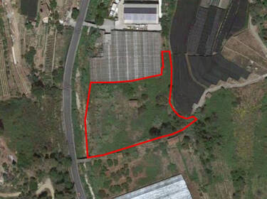 foto principale del terreno