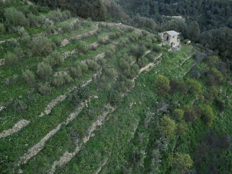 foto principale del terreno