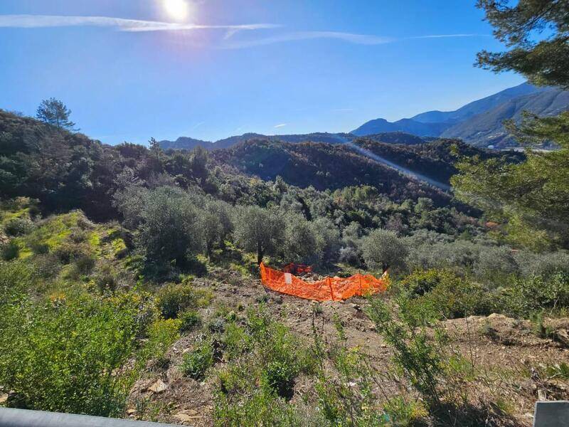 foto principale del terreno