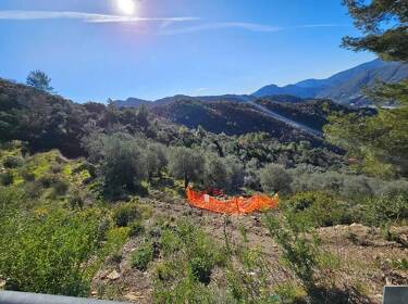 foto principale del terreno