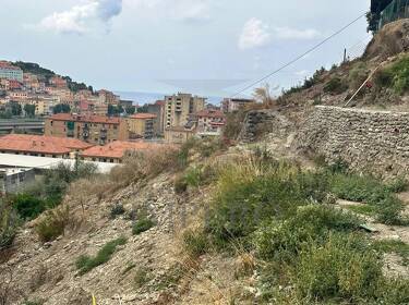 foto principale del terreno