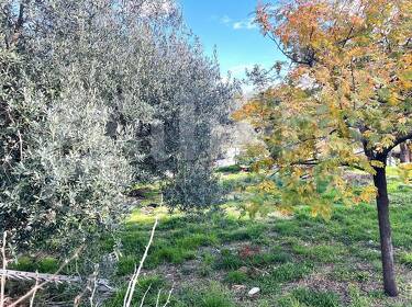 foto principale del terreno