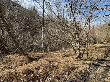 foto principale del terreno