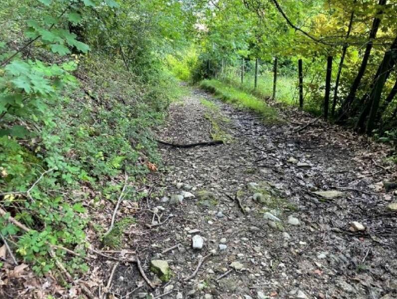 foto principale del terreno