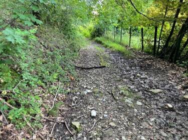 foto principale del terreno