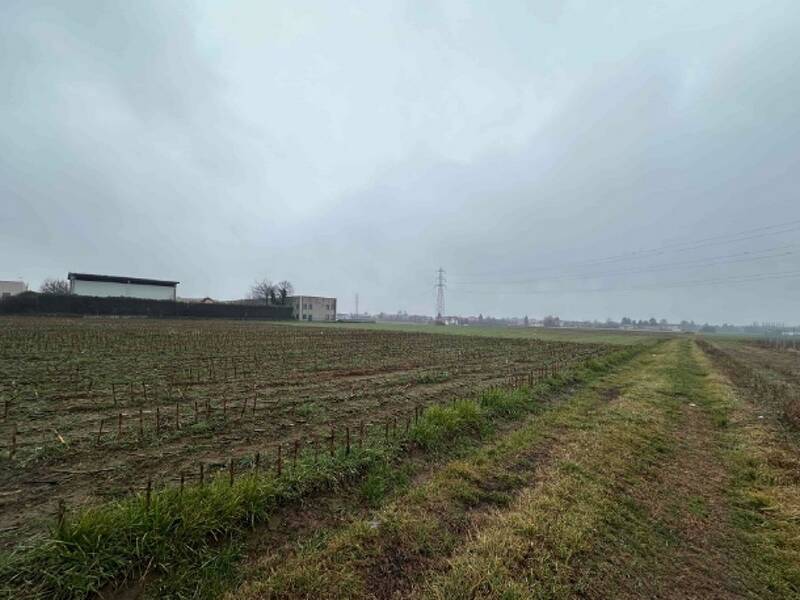 foto principale del terreno