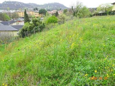 foto principale del terreno