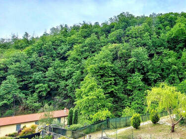 foto principale del terreno