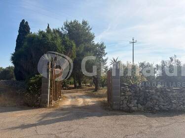 foto principale del terreno
