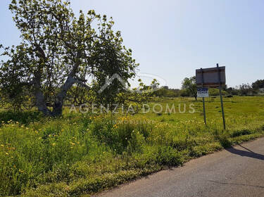 foto principale del terreno