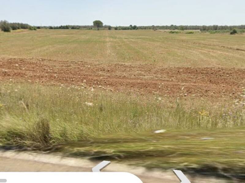 foto principale del terreno