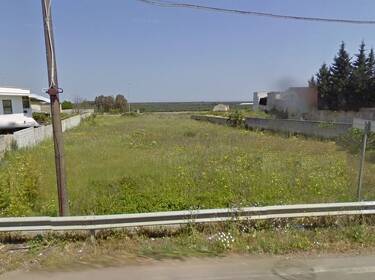 foto principale del terreno