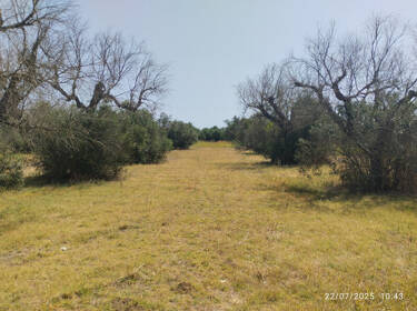 foto principale del terreno